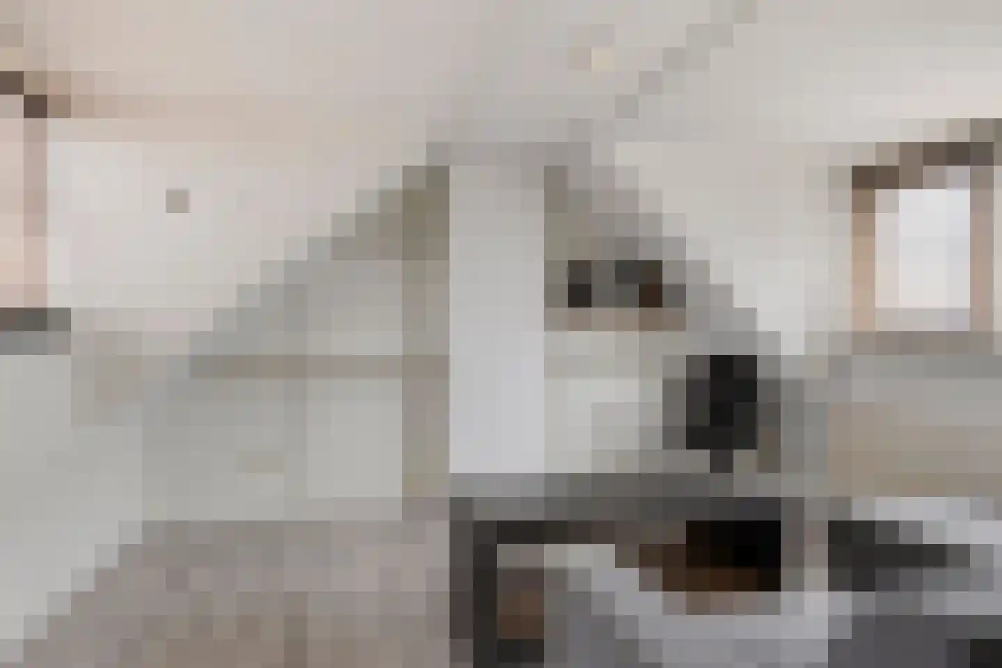 Zeelsterstraat 241 Eindhoven thumbnail 32