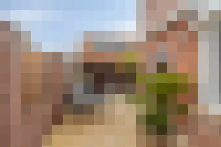 Zeelsterstraat 241 Eindhoven thumbnail 33