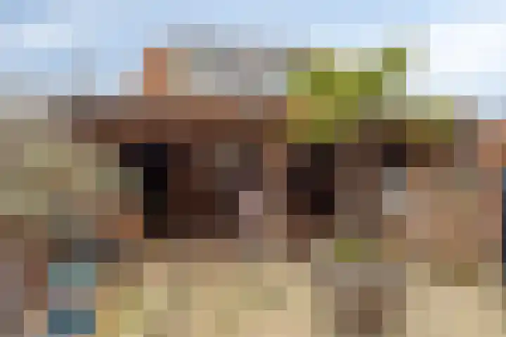 Zeelsterstraat 241 Eindhoven thumbnail 34