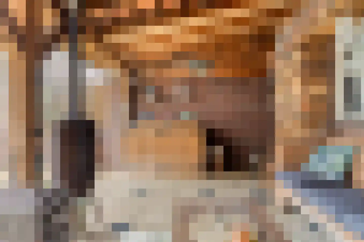 Zeelsterstraat 241 Eindhoven thumbnail 36