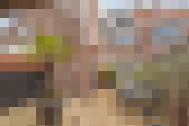 Zeelsterstraat 241 Eindhoven thumbnail 38