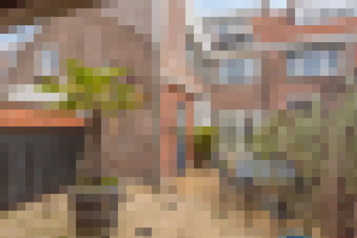 Zeelsterstraat 241 Eindhoven thumbnail 38