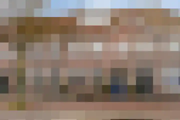 Zeelsterstraat 241 Eindhoven thumbnail 39