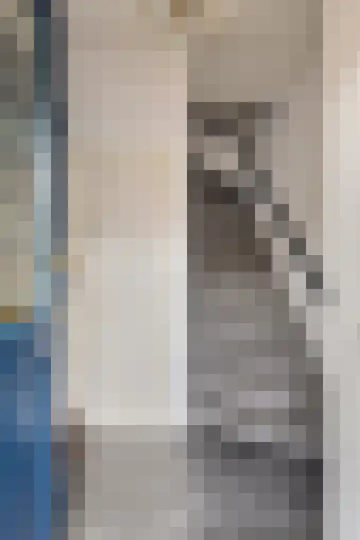 Zeelsterstraat 241 Eindhoven thumbnail 4