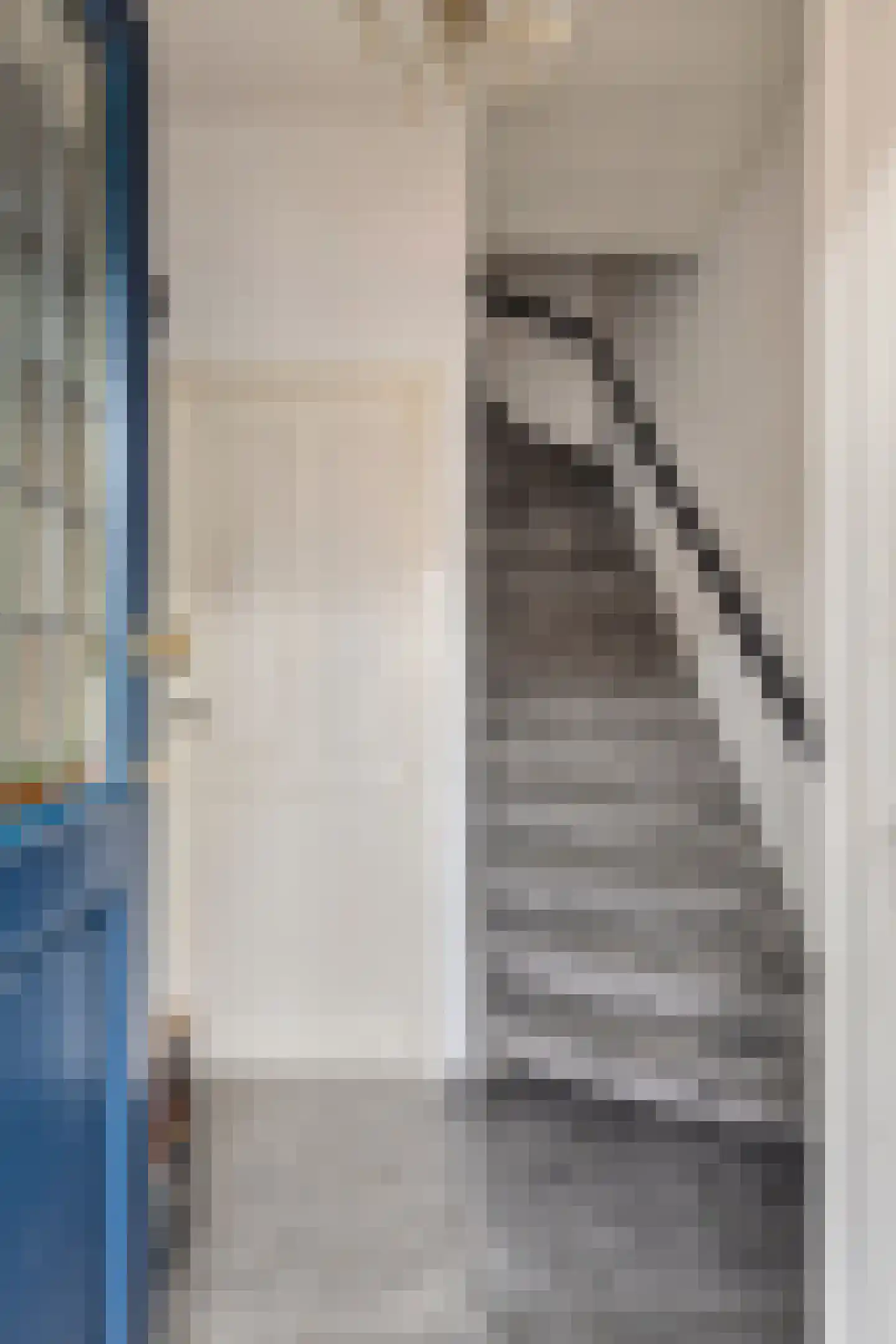 Zeelsterstraat 241 Eindhoven thumbnail 4
