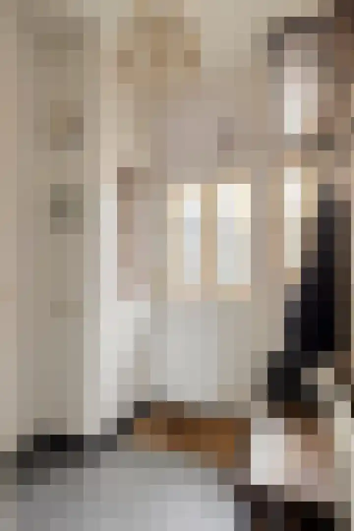 Zeelsterstraat 241 Eindhoven thumbnail 5