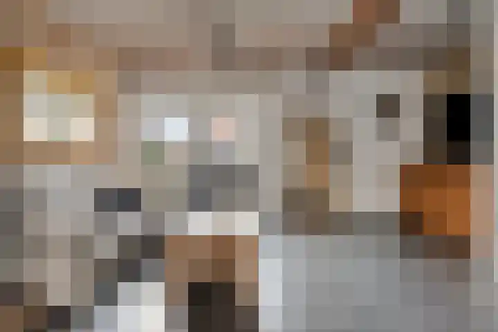 Zeelsterstraat 241 Eindhoven thumbnail 7