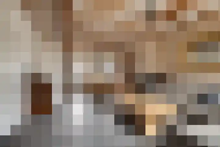 Zeelsterstraat 241 Eindhoven thumbnail 9