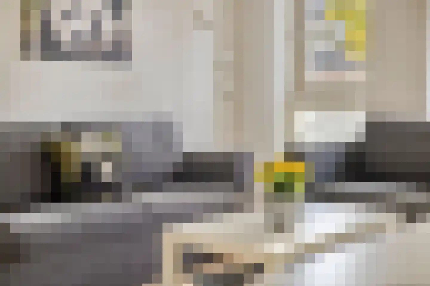 Zeelsterstraat 50 C Eindhoven thumbnail 12