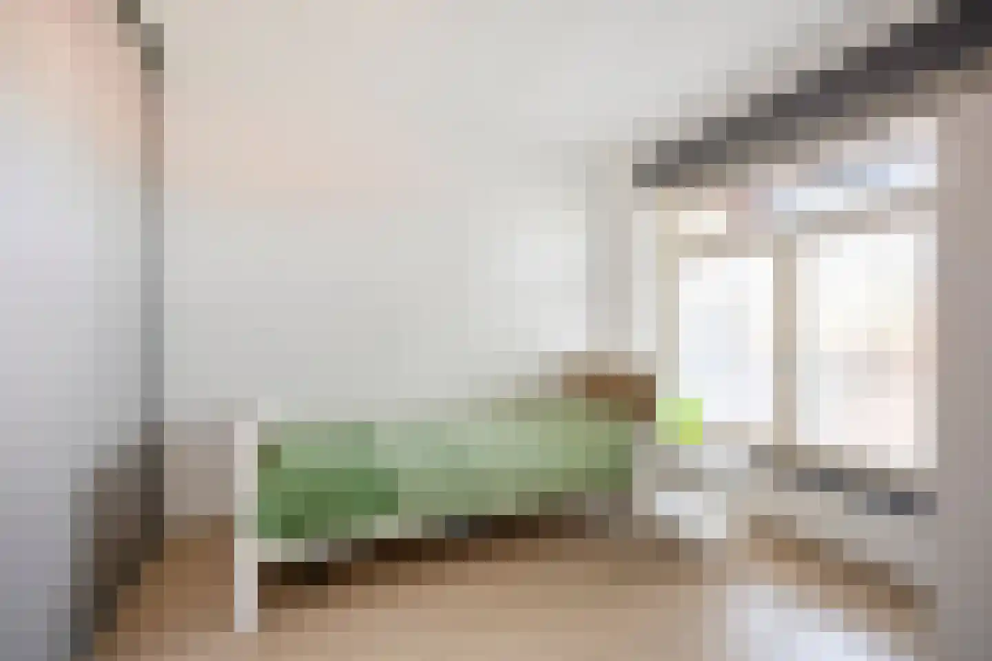 Zeelsterstraat 50 C Eindhoven thumbnail 15