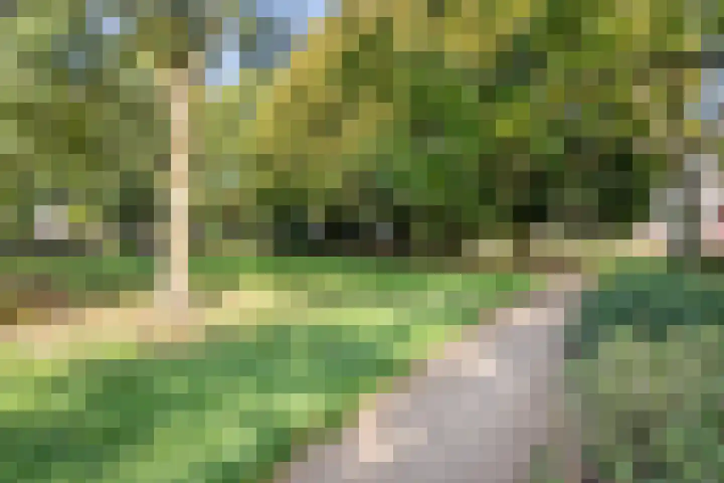 Zeelsterstraat 50 C Eindhoven thumbnail 26