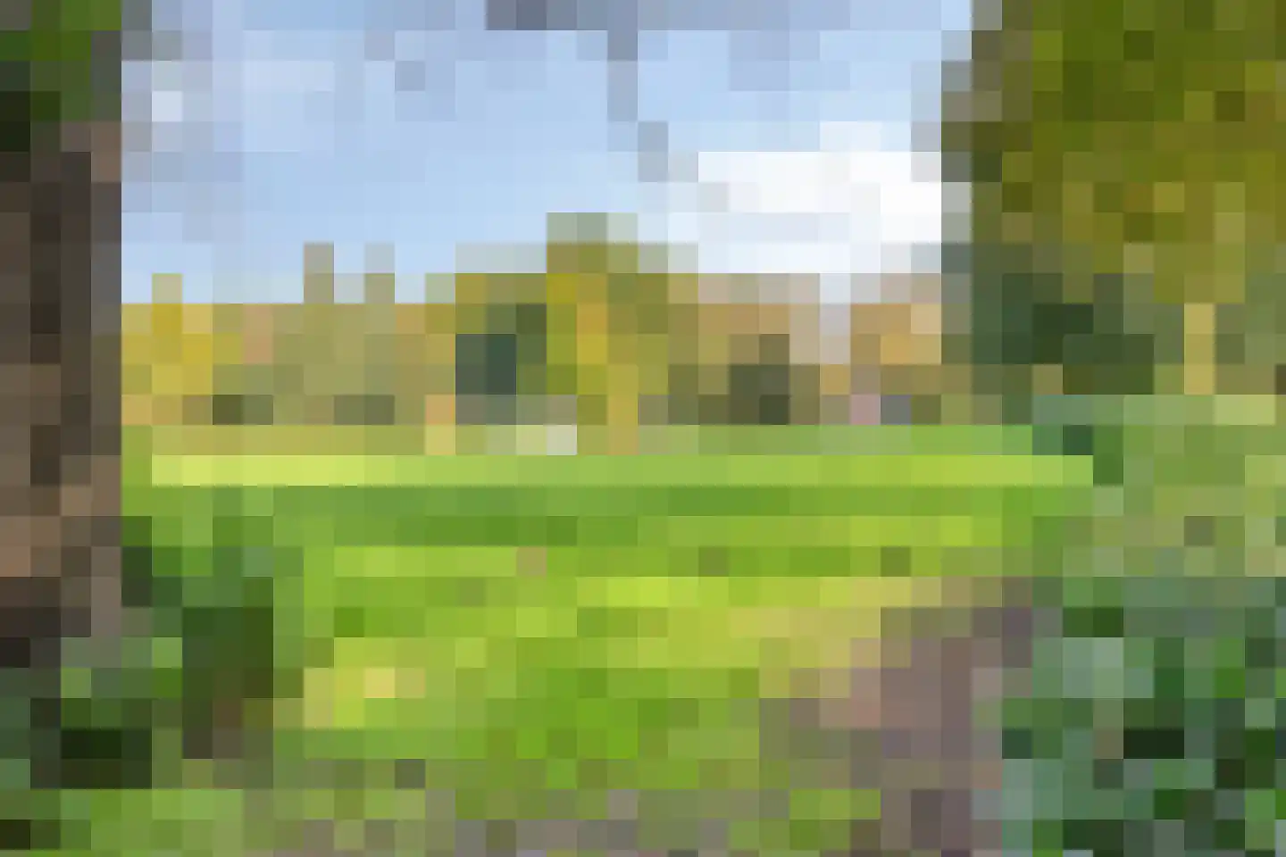 Zeelsterstraat 50 C Eindhoven thumbnail 27