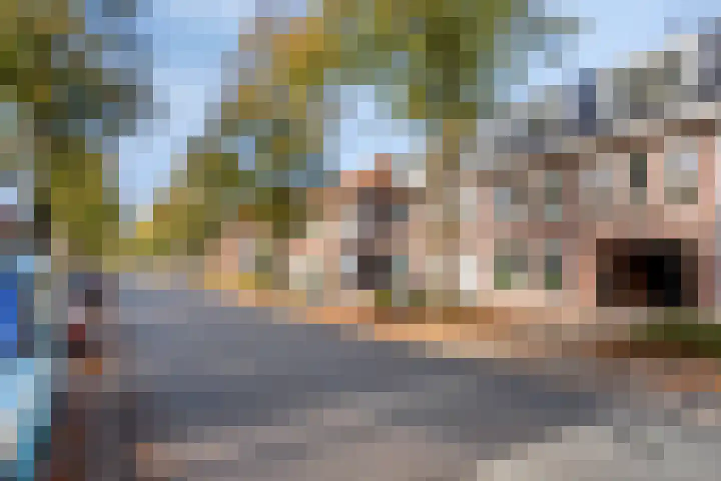 Zeelsterstraat 50 C Eindhoven thumbnail 30