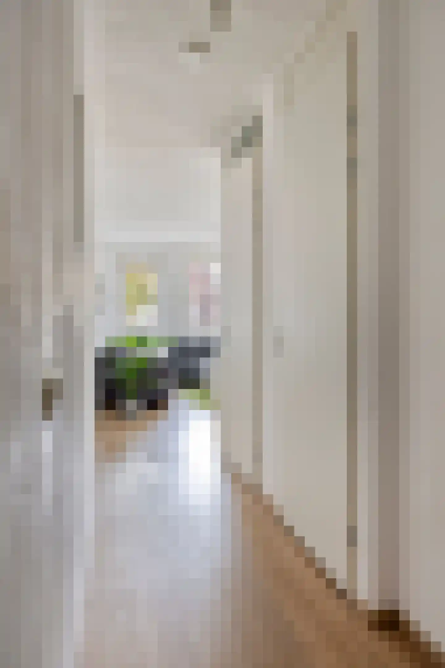 Zeelsterstraat 50 C Eindhoven thumbnail 7