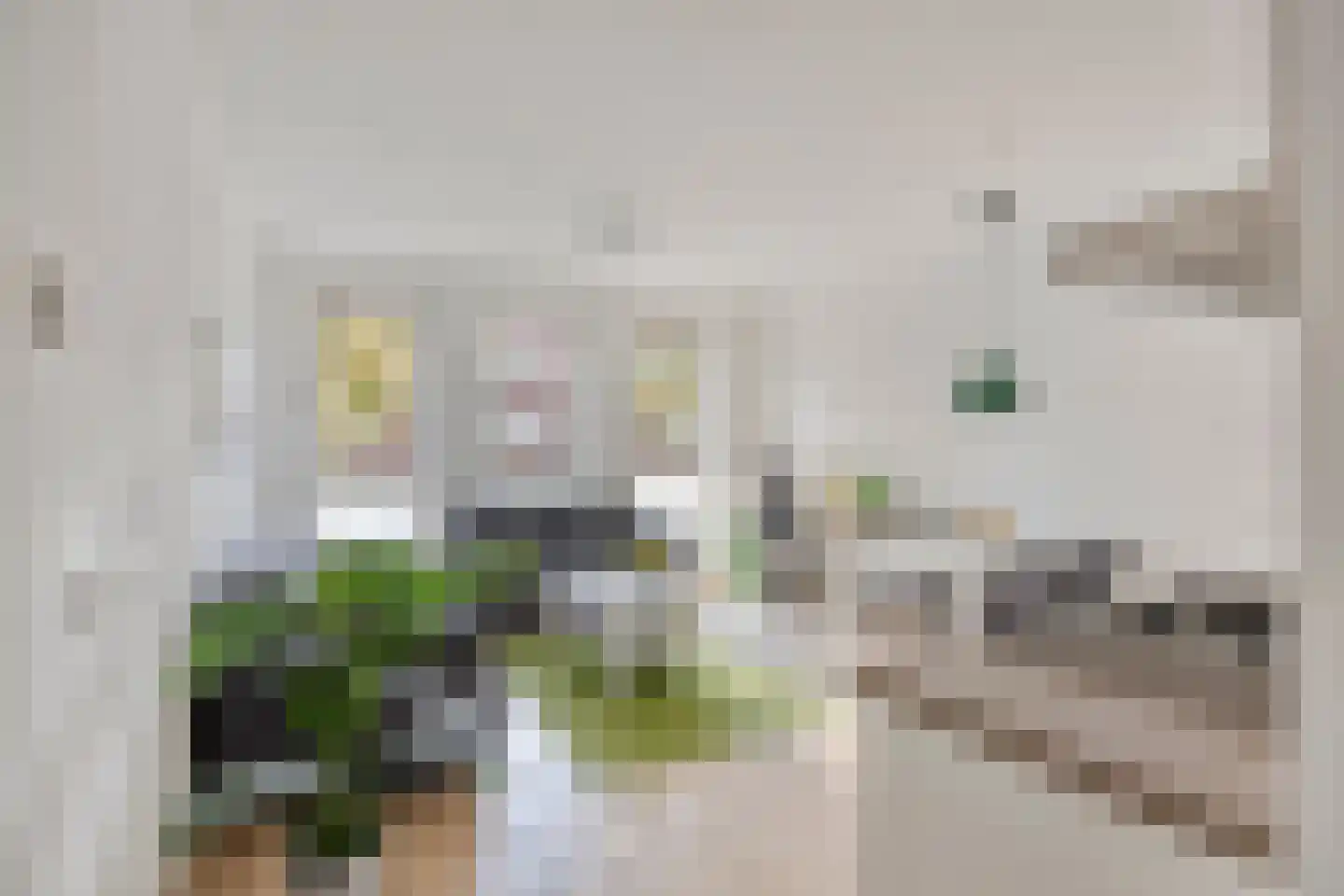 Zeelsterstraat 50 C Eindhoven thumbnail 8