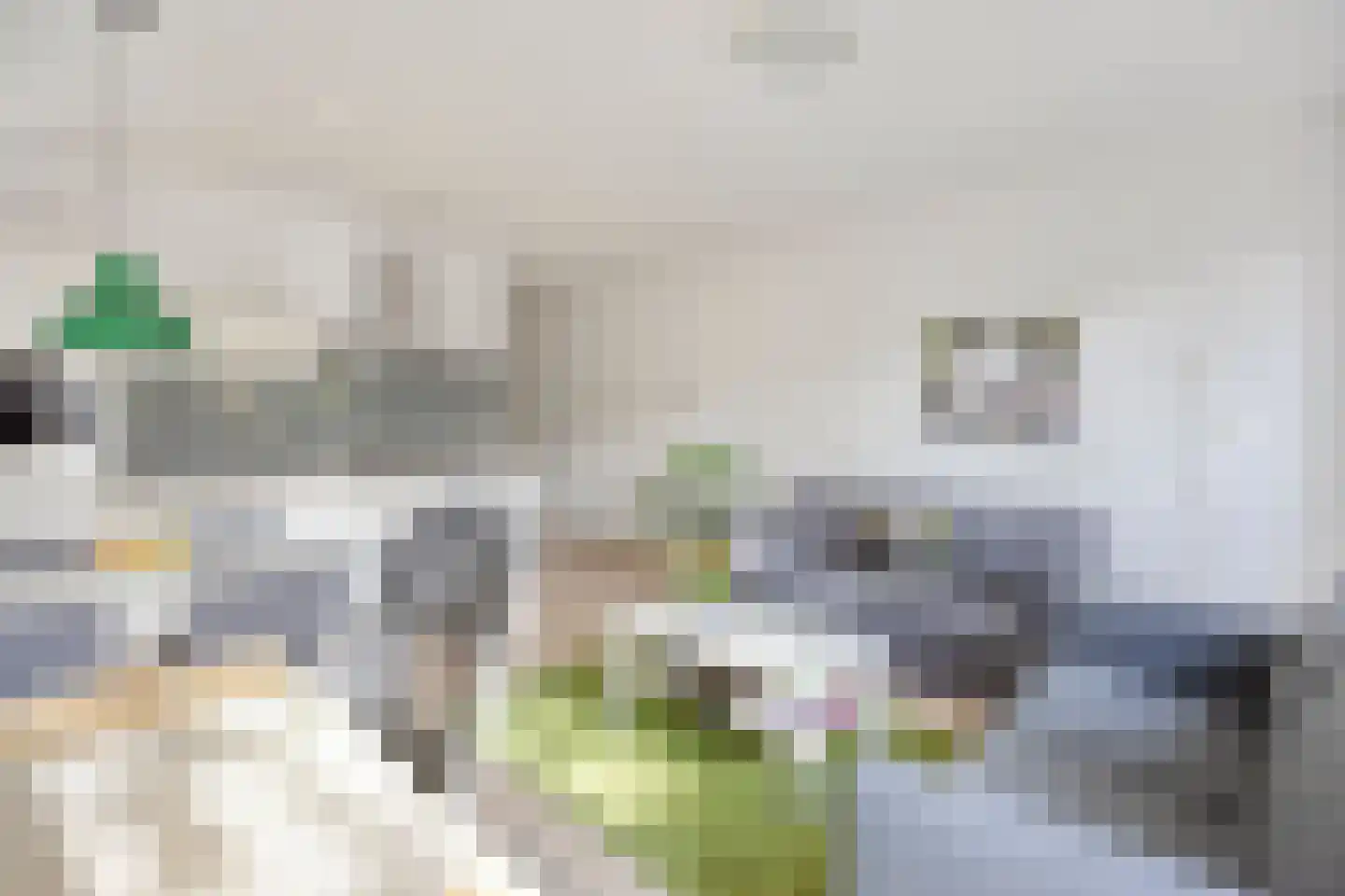 Zeelsterstraat 50 C Eindhoven thumbnail 9