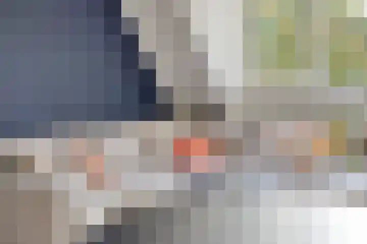 Zeelsterstraat 50 E Eindhoven thumbnail 11