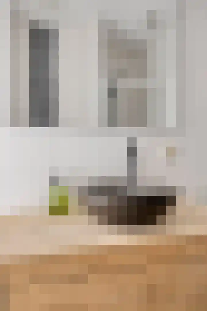 Zeelsterstraat 50 E Eindhoven thumbnail 13