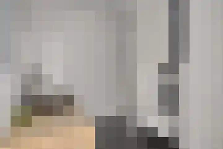 Zeelsterstraat 50 E Eindhoven thumbnail 18