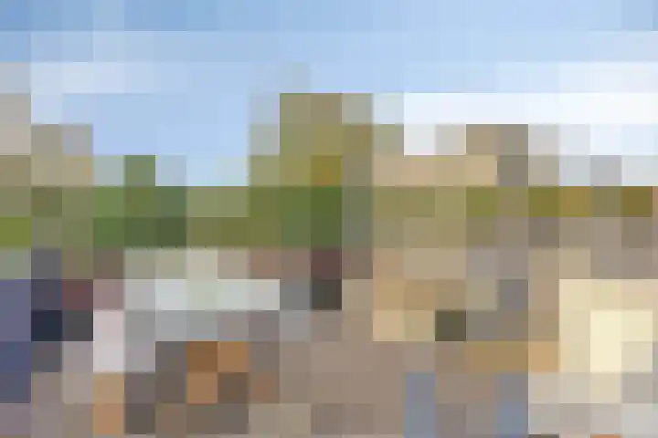 Zeelsterstraat 50 E Eindhoven thumbnail 20