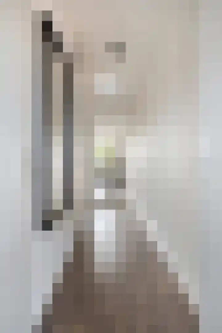 Zeelsterstraat 50 E Eindhoven thumbnail 8