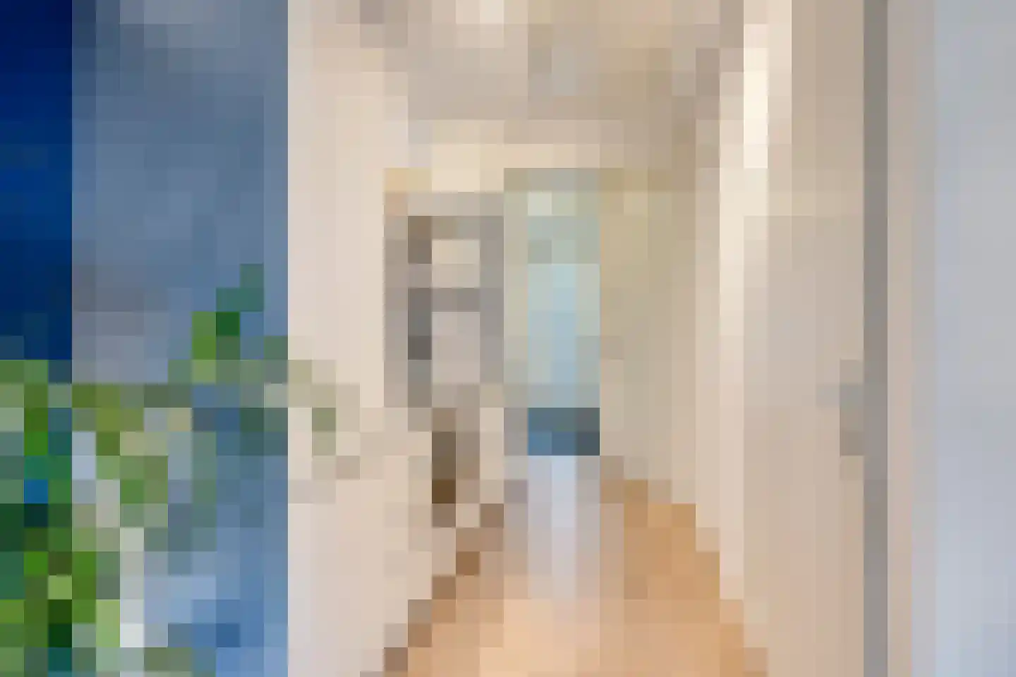 Zeelsterstraat 50 F Eindhoven thumbnail 10