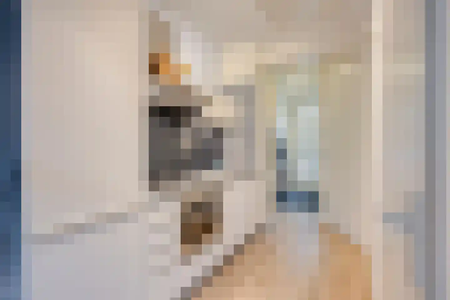 Zeelsterstraat 50 F Eindhoven thumbnail 11