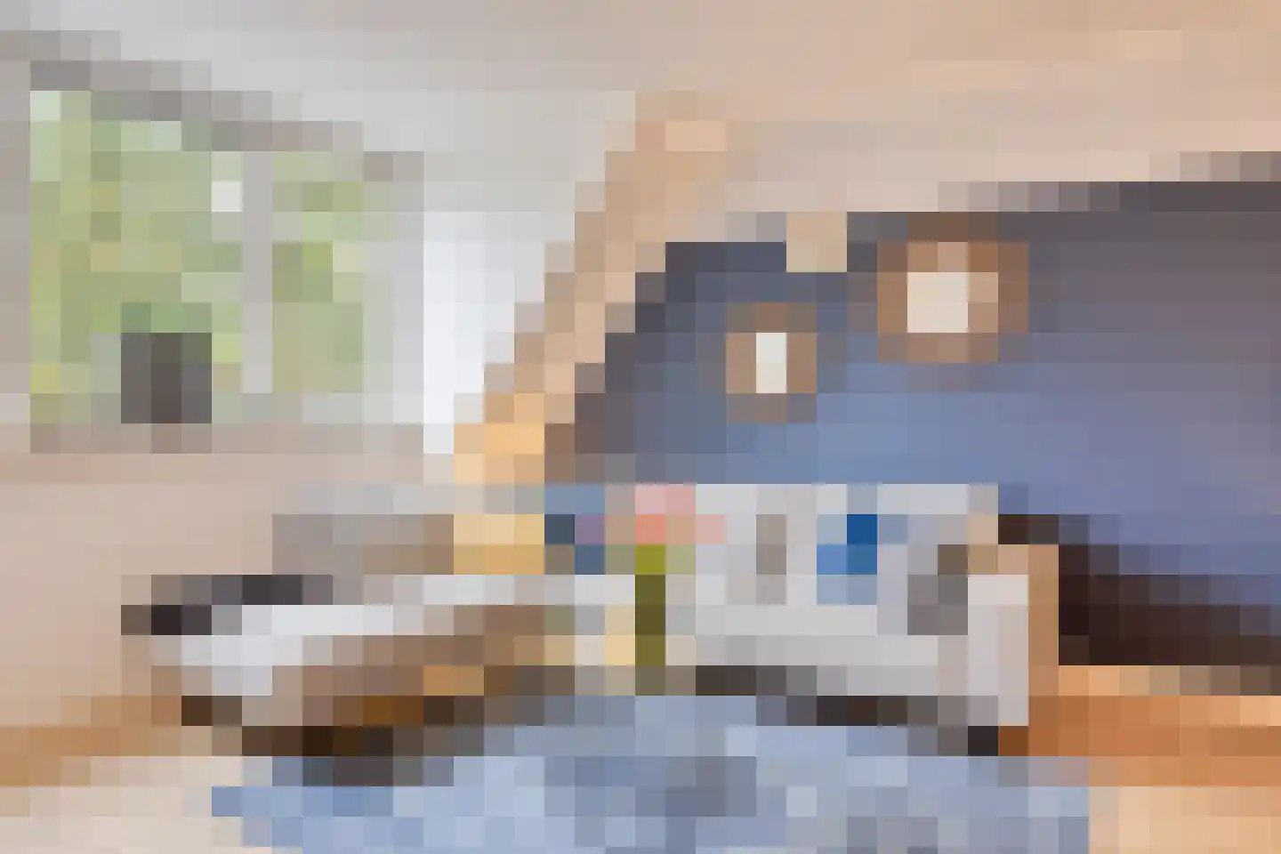 Zeelsterstraat 50 F Eindhoven thumbnail 14