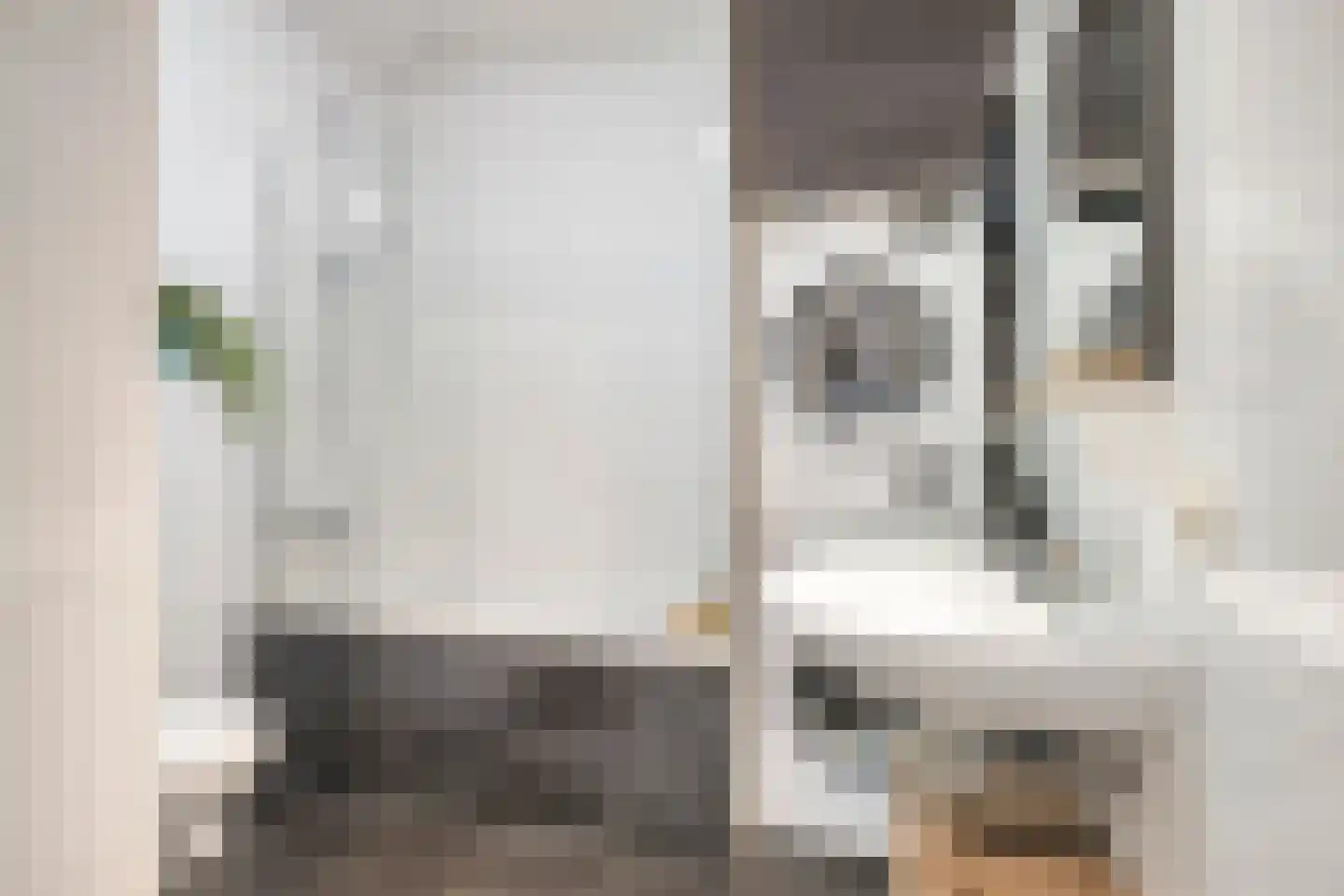 Zeelsterstraat 50 F Eindhoven thumbnail 17