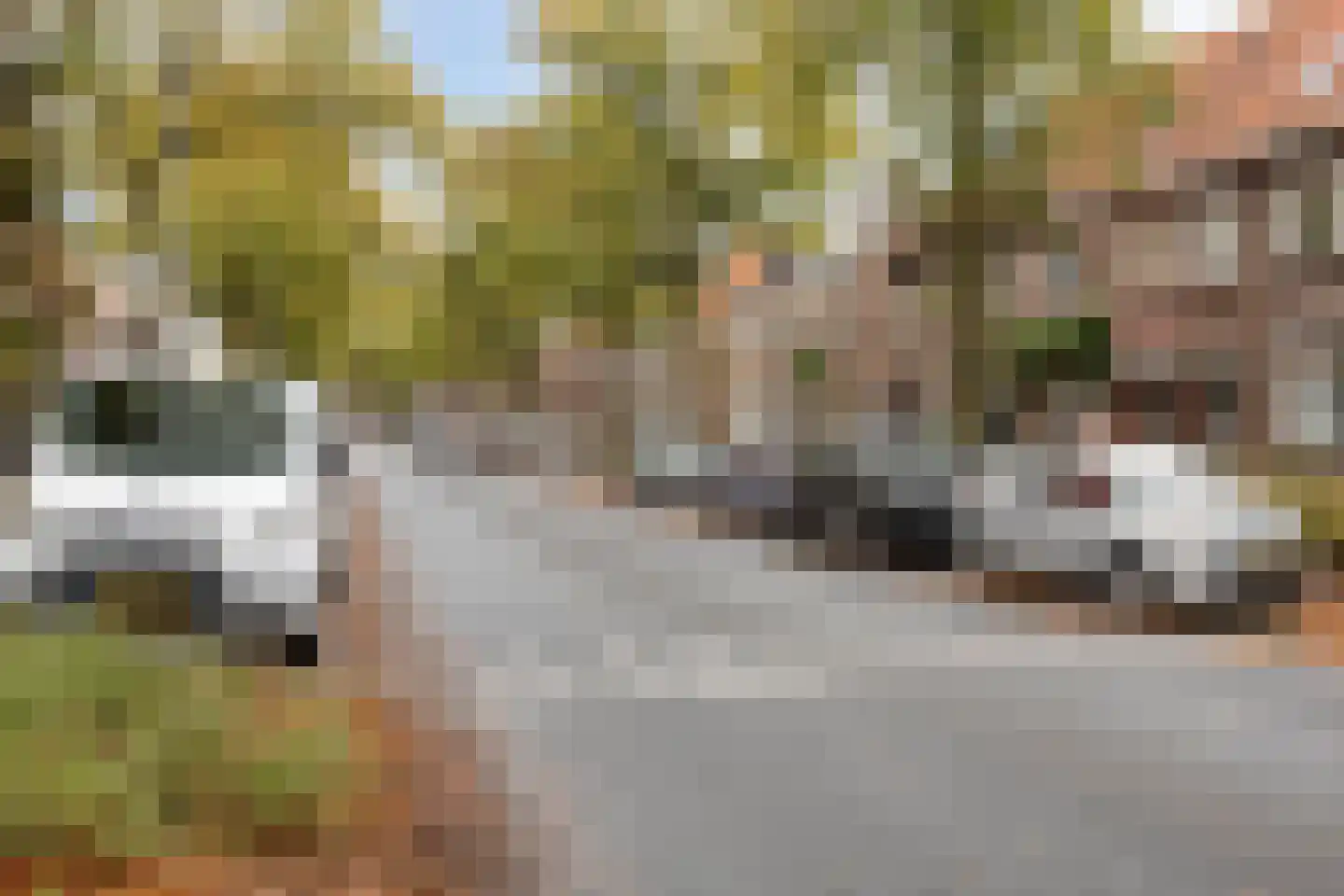 Zeelsterstraat 50 F Eindhoven thumbnail 27