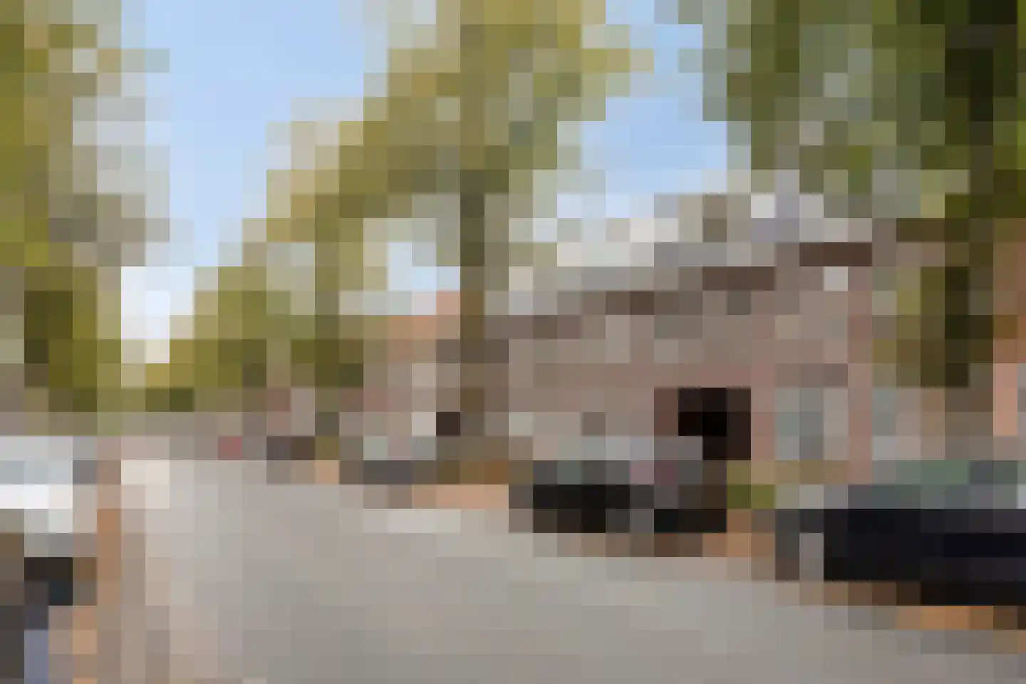 Zeelsterstraat 50 F Eindhoven thumbnail 28