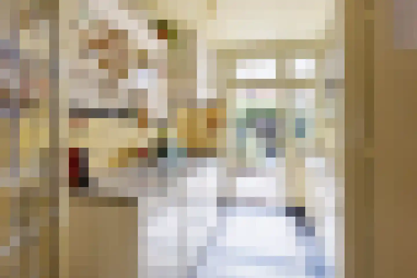 Zeelsterstraat 59 E Eindhoven thumbnail 10