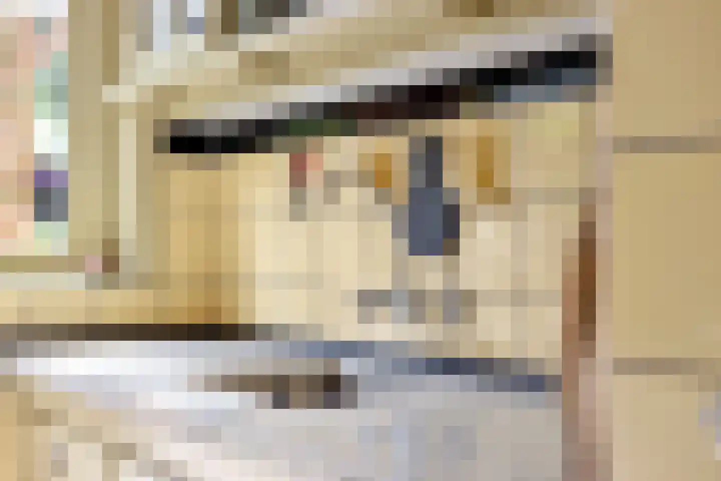 Zeelsterstraat 59 E Eindhoven thumbnail 17