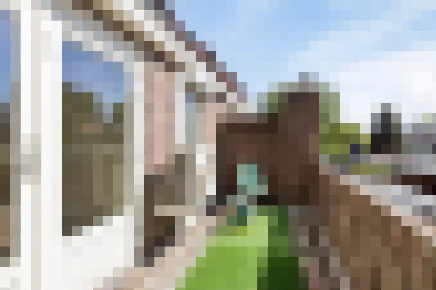 Zeelsterstraat 59 E Eindhoven thumbnail 23