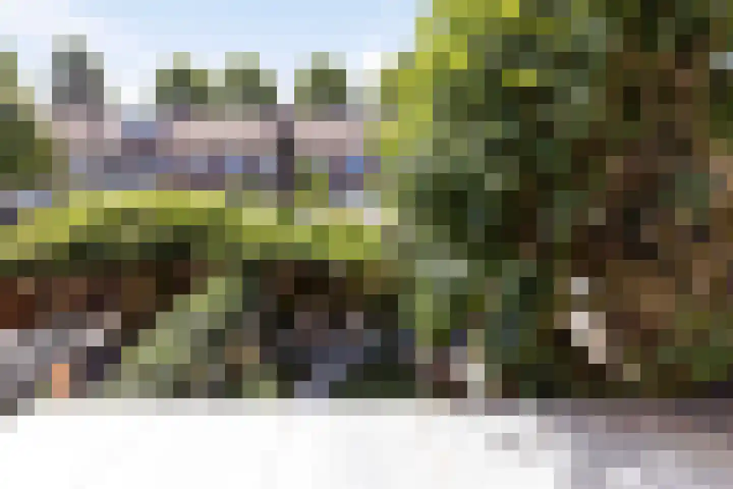 Zeelsterstraat 59 E Eindhoven thumbnail 24