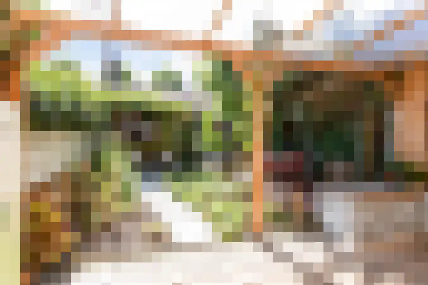 Zeelsterstraat 59 E Eindhoven thumbnail 35
