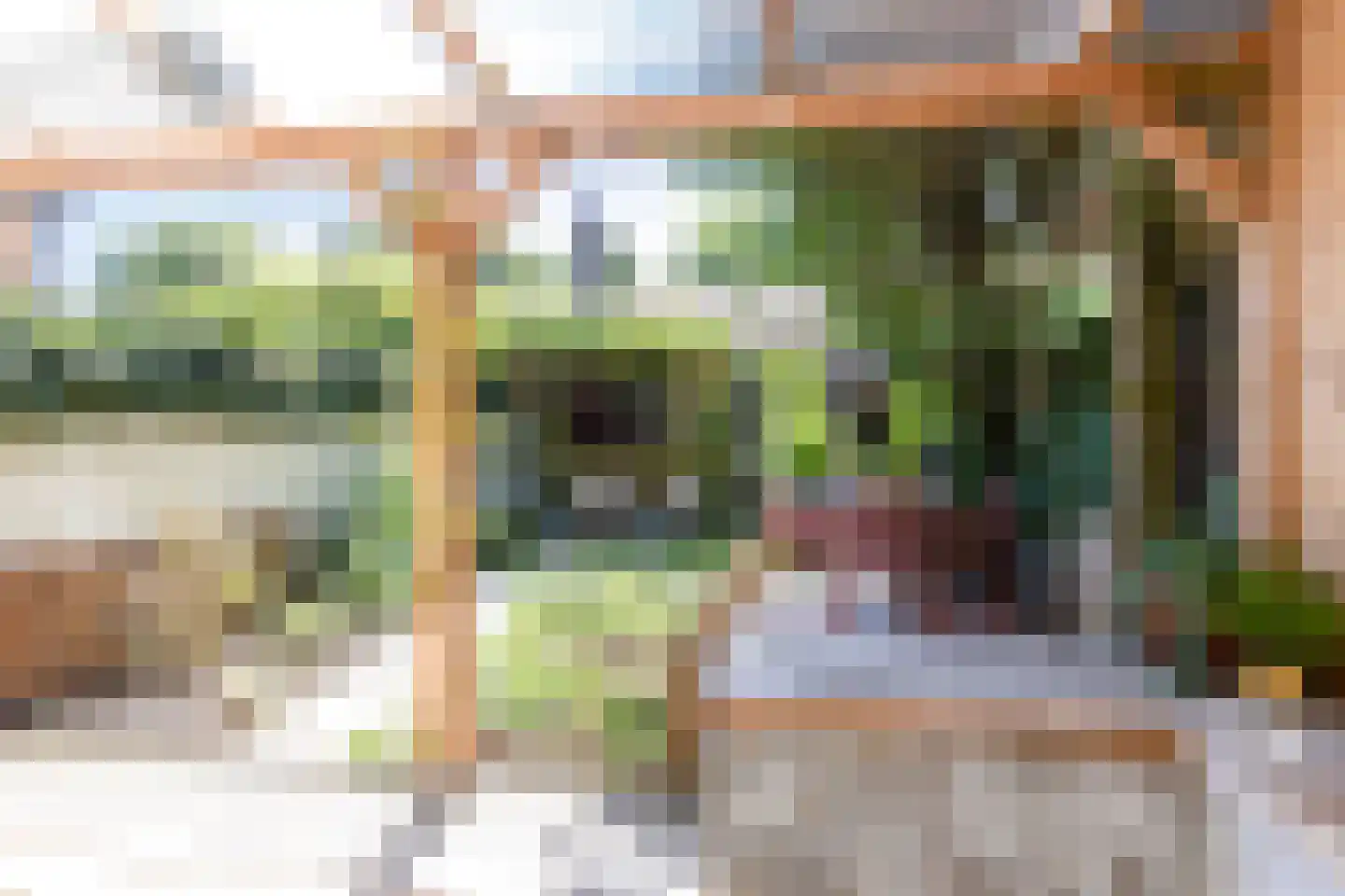 Zeelsterstraat 59 E Eindhoven thumbnail 36