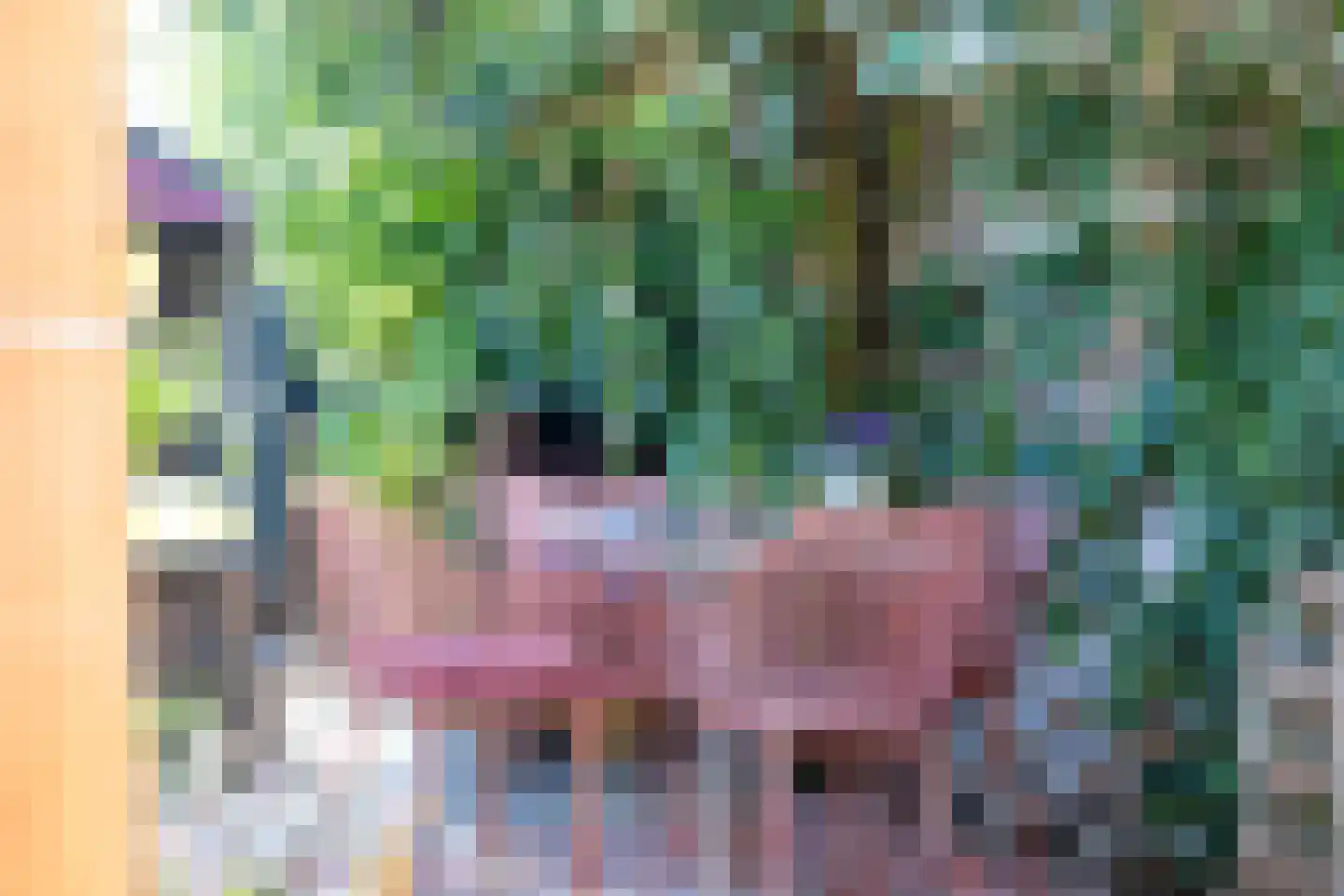 Zeelsterstraat 59 E Eindhoven thumbnail 38