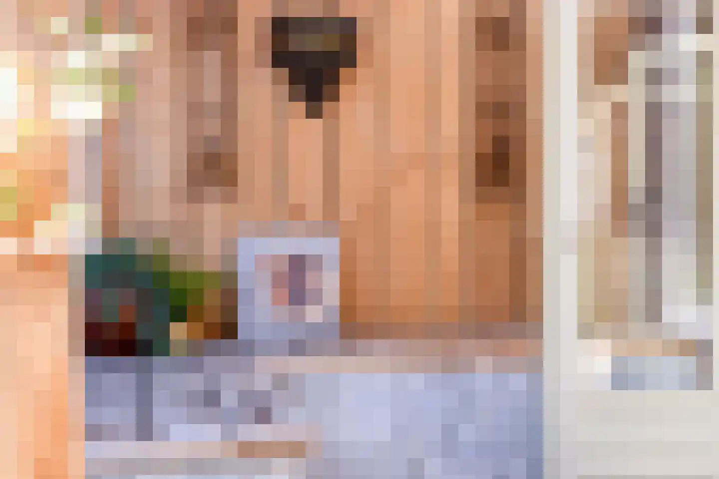 Zeelsterstraat 59 E Eindhoven thumbnail 39