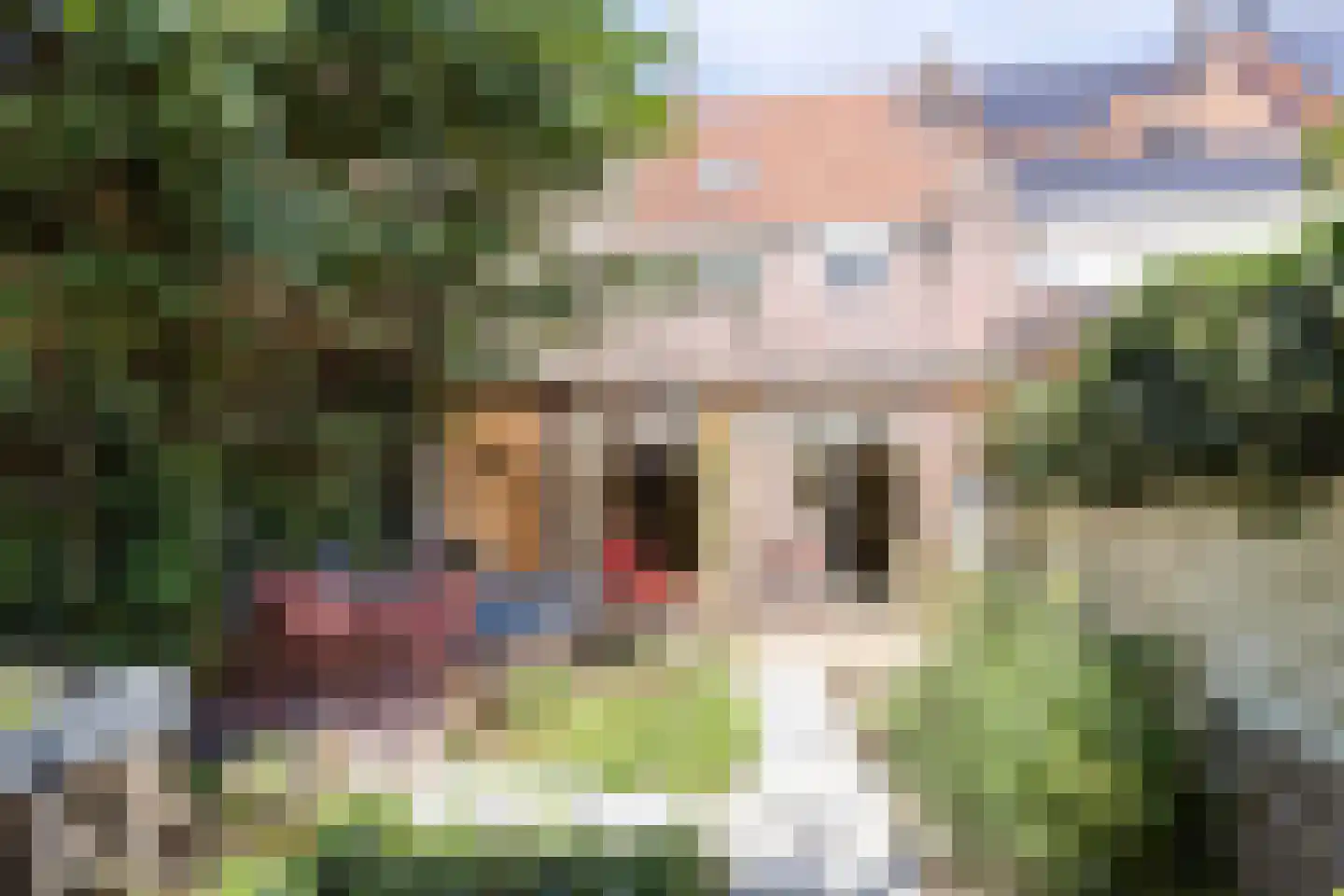Zeelsterstraat 59 E Eindhoven thumbnail 40