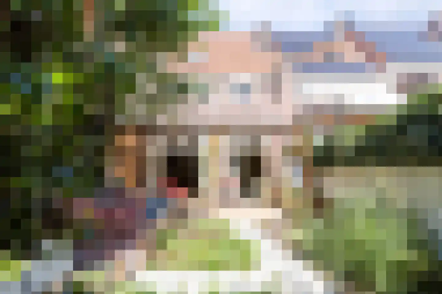 Zeelsterstraat 59 E Eindhoven thumbnail 41