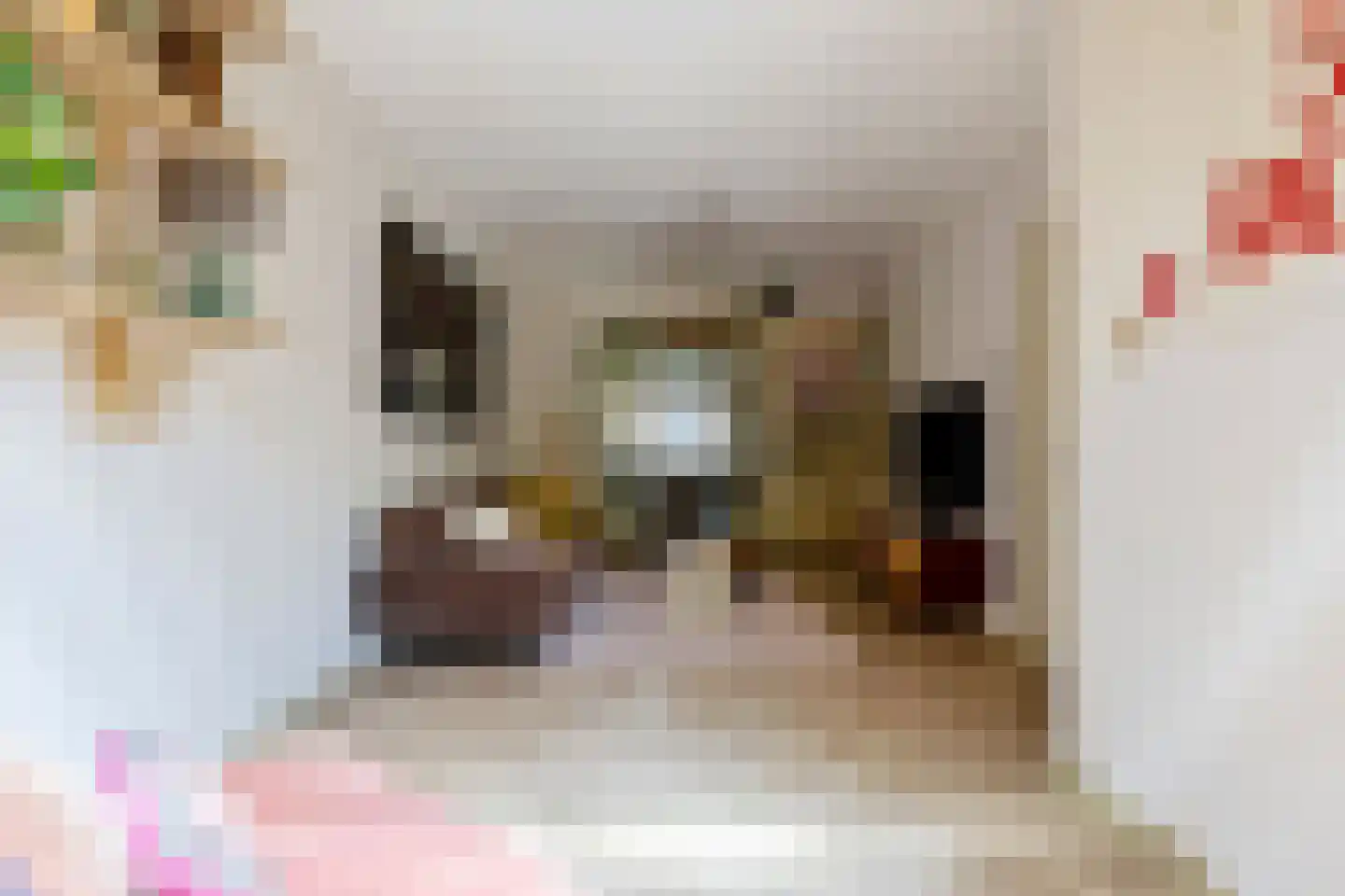 Zeelsterstraat 59 E Eindhoven thumbnail 6