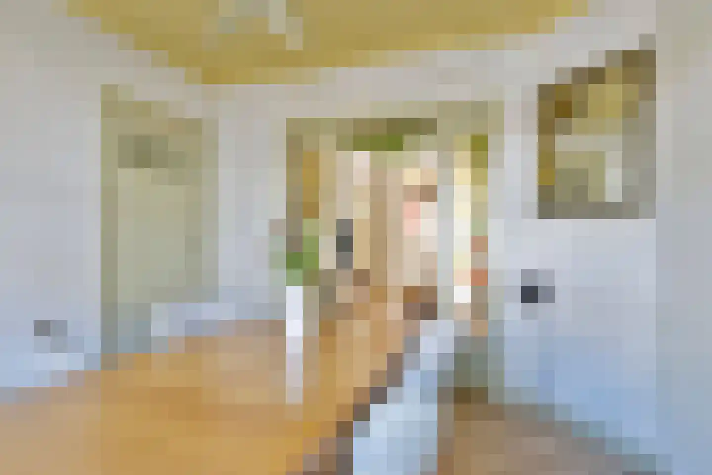 Zeelsterstraat 59 E Eindhoven thumbnail 9