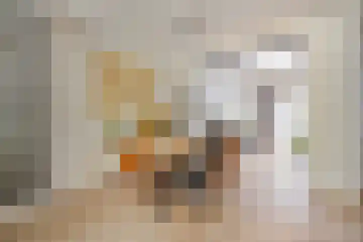 Zeelsterstraat 82 C Eindhoven thumbnail 10