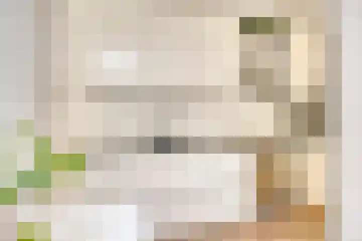 Zeelsterstraat 82 C Eindhoven thumbnail 12