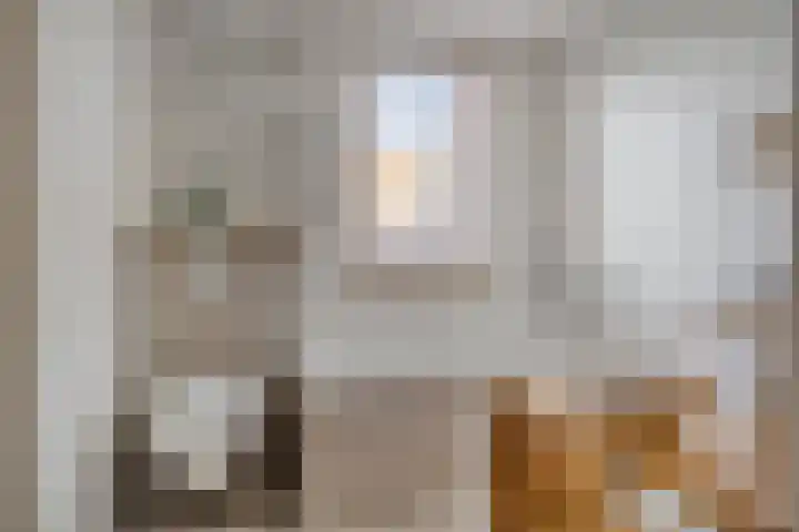 Zeelsterstraat 82 C Eindhoven thumbnail 21