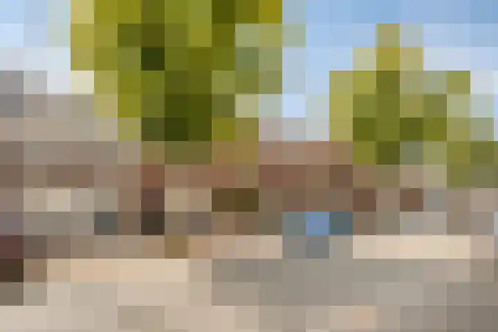 Zeelsterstraat 82 C Eindhoven thumbnail 32