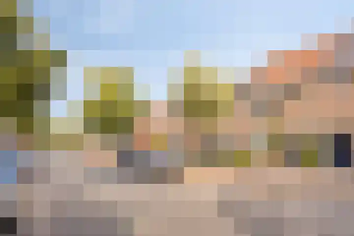 Zeelsterstraat 82 C Eindhoven thumbnail 34