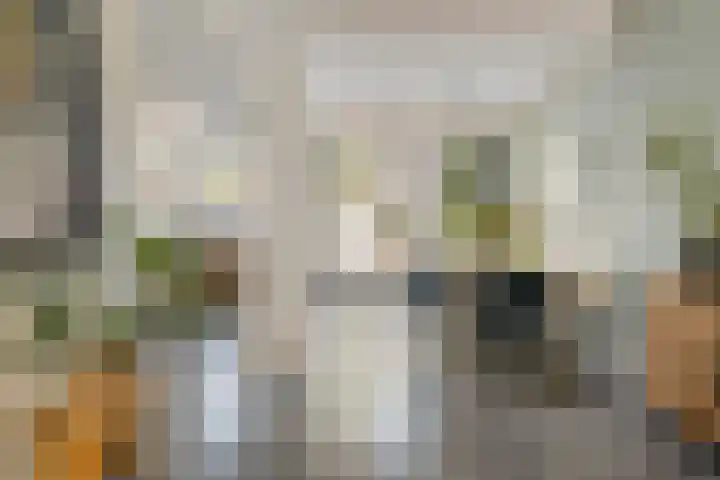 Zeelsterstraat 82 D Eindhoven thumbnail 15
