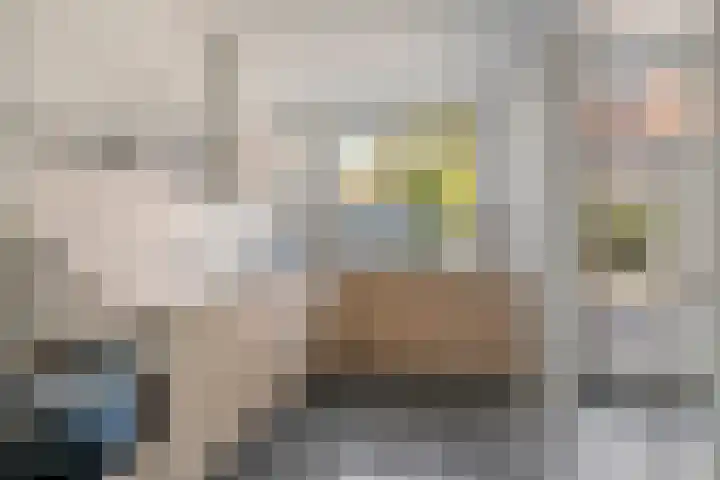 Zeelsterstraat 82 D Eindhoven thumbnail 18